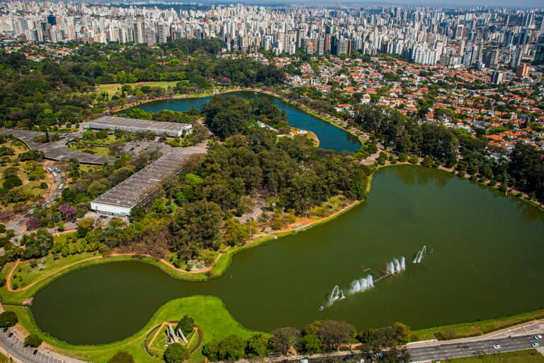 Vein Treatment in Sao Paulo
