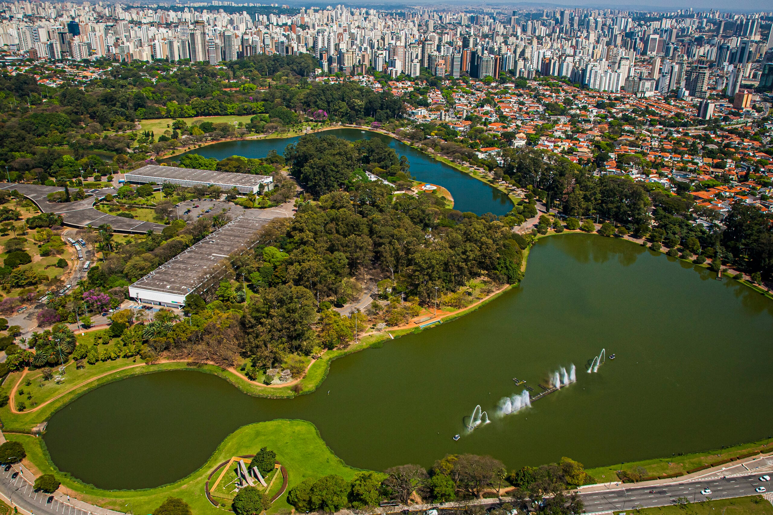 Face Lift in Sao Paulo — Procedure Gallery Photo