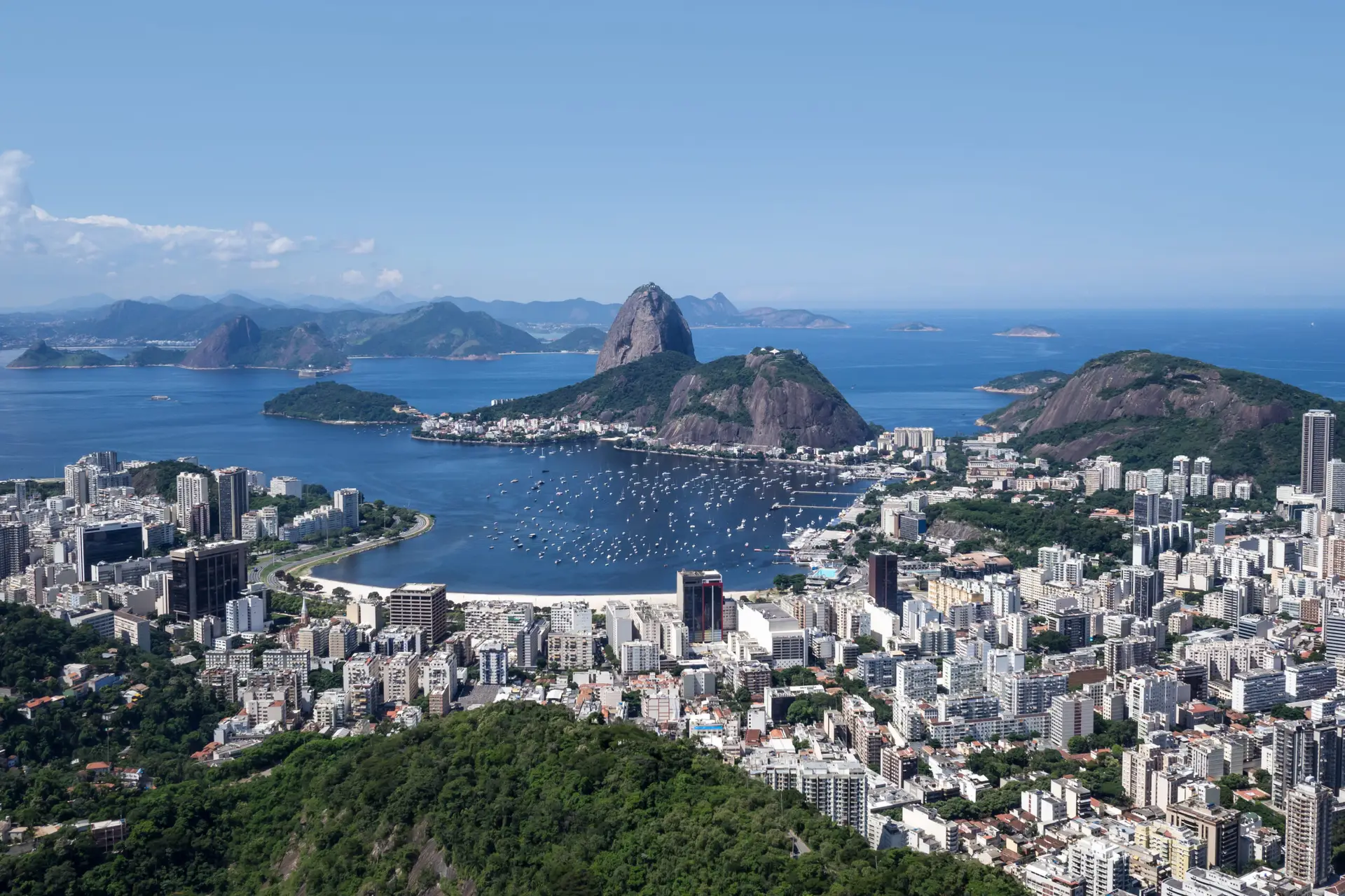 Knee Arthroscopy in Rio de Janeiro