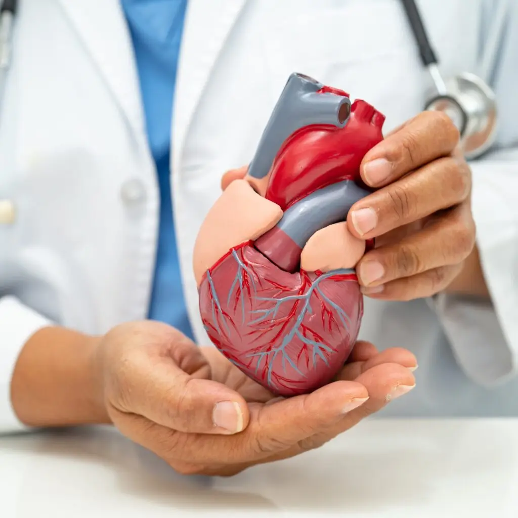 Expert cardiology care through MediTour Facilitators, your trusted medical travel coordinators