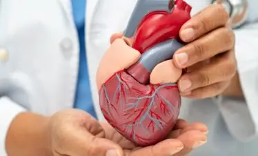 Expert cardiology care through MediTour Facilitators, your trusted medical travel coordinators