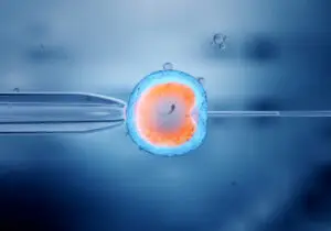 IVF in Istanbul, Turkey by Memorial Hospital