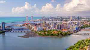 Cardiovascular Surgery in Brazil — Cardiology in Brazil