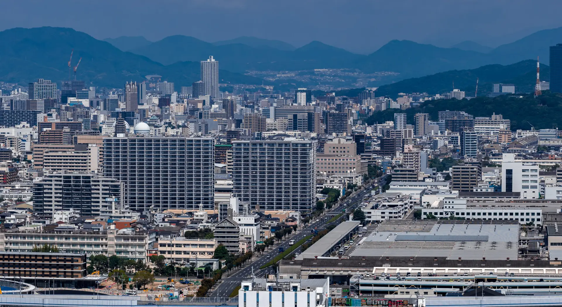 Chronic pain in Osaka, Japan by Cell Grand Clinic