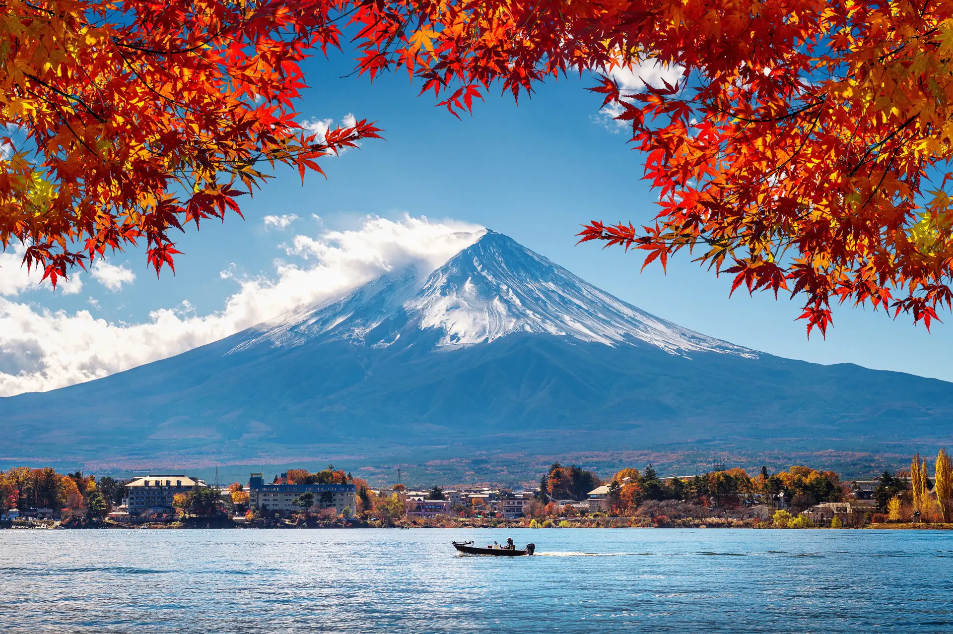 Chronic pain in Osaka, Japan by Cell Grand Clinic