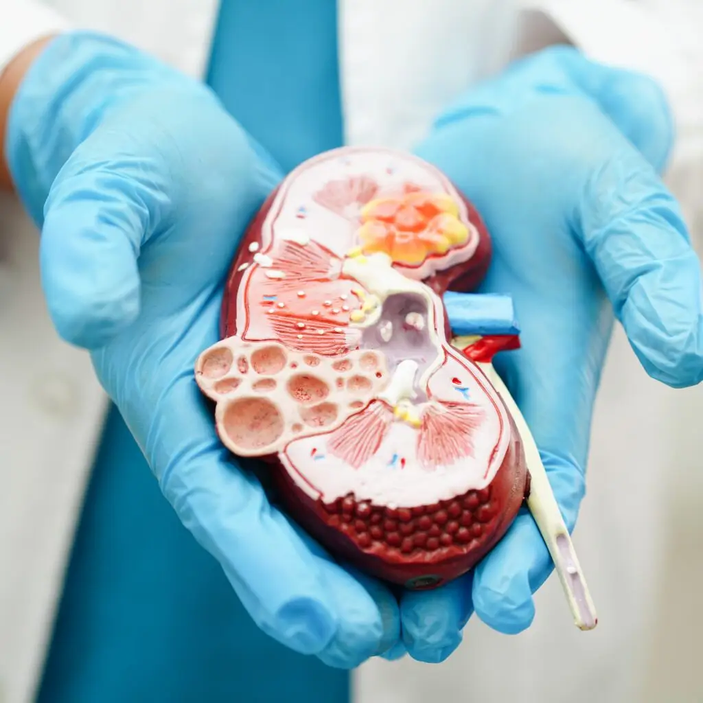 Urology