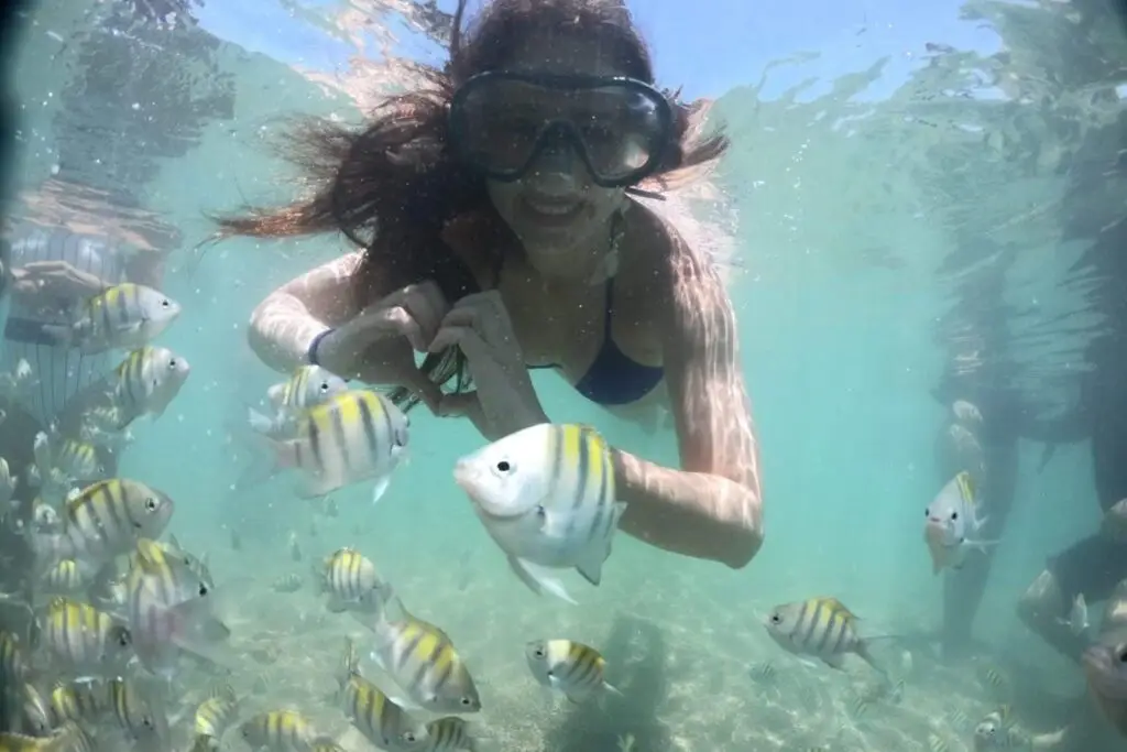 Brazil: Recife: Porto de Galinhas Full day private tour — Medical Tourism Package in Brazil