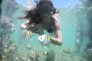 Brazil: Recife: Porto de Galinhas Full day private tour in Brazil