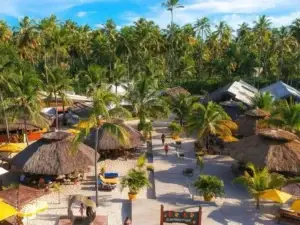 Brazil: Recife: Day Tour at the Carneiros Beach in Brazil