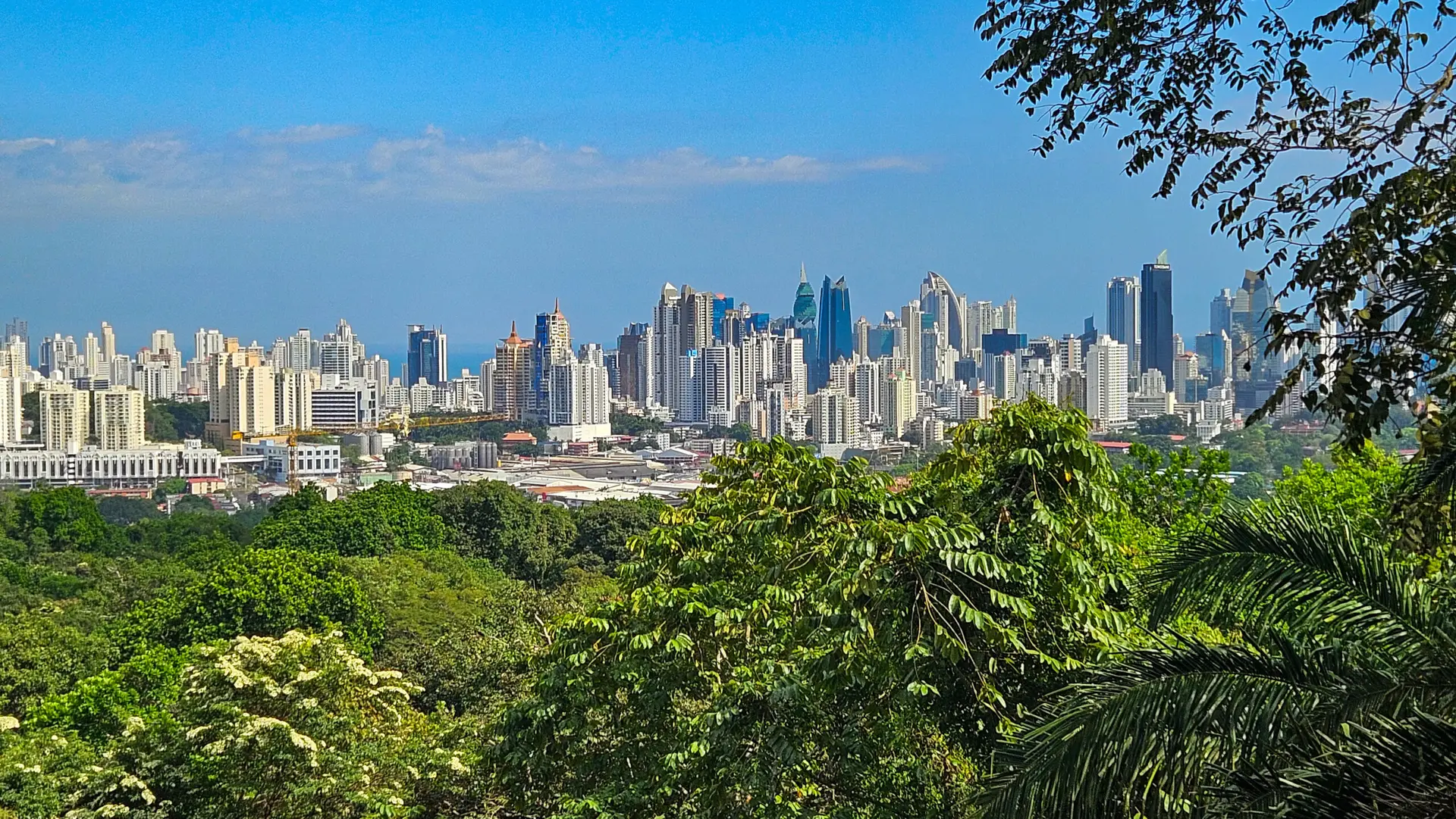 Heart Valve Disease Treatment in Panama