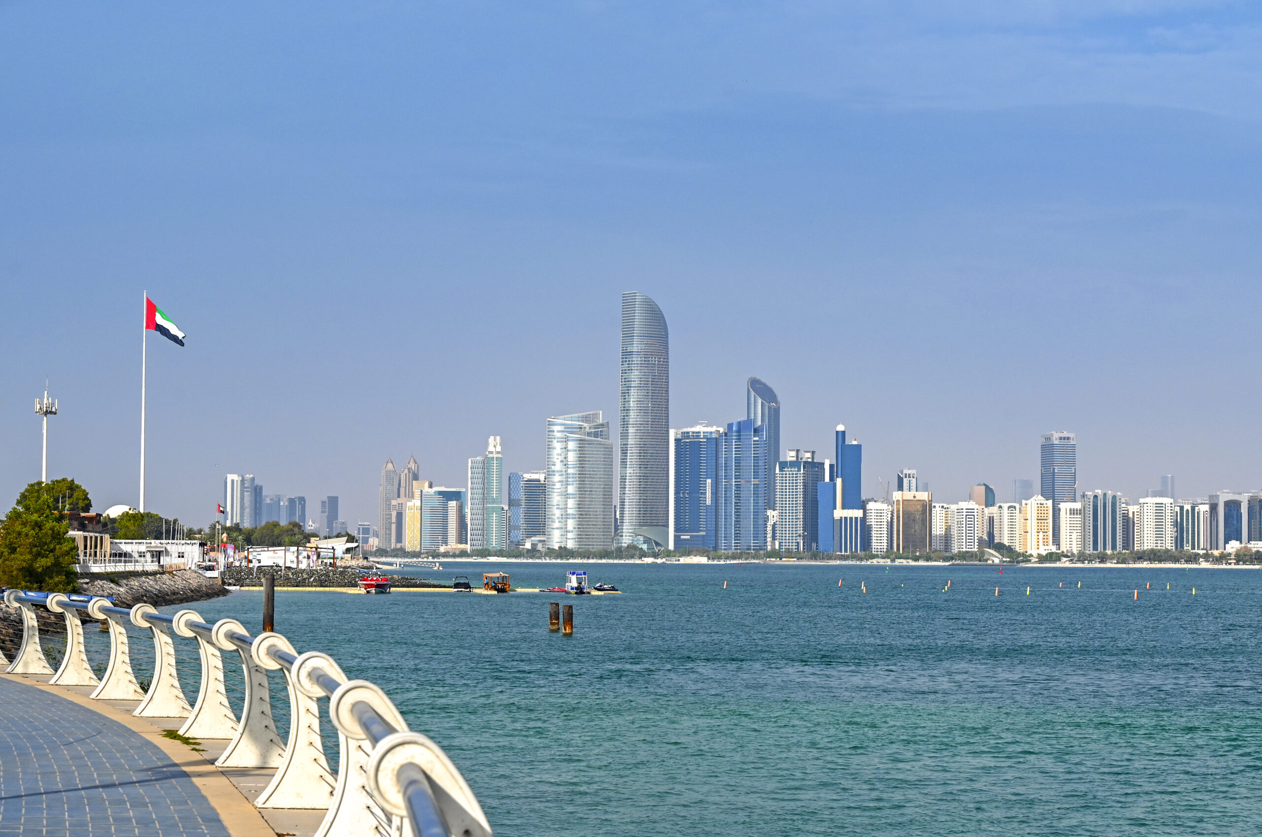 Heart Valve Disease Treatment in Dubai — Procedure Gallery Photo