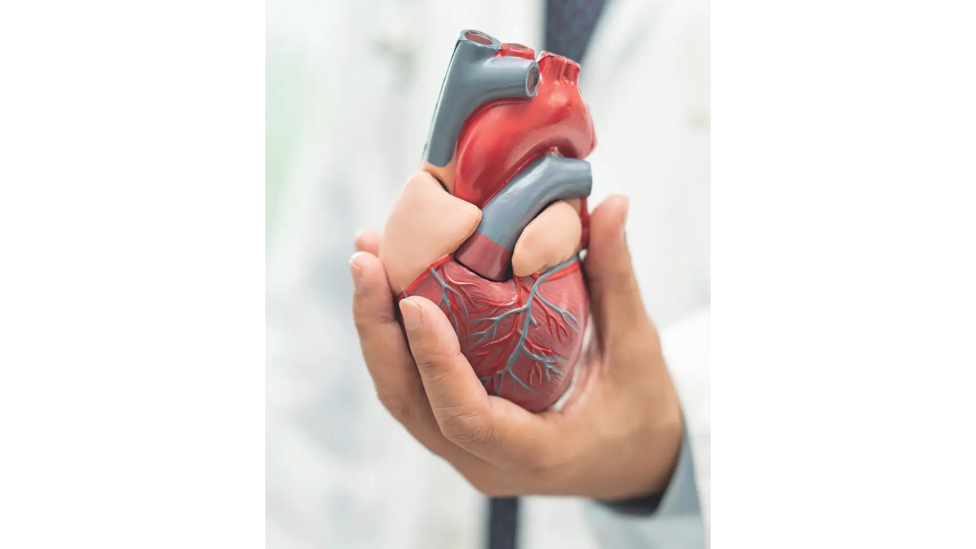 Cardiovascular Protocol Package in Limassol, Cyprus by Swissmed Health