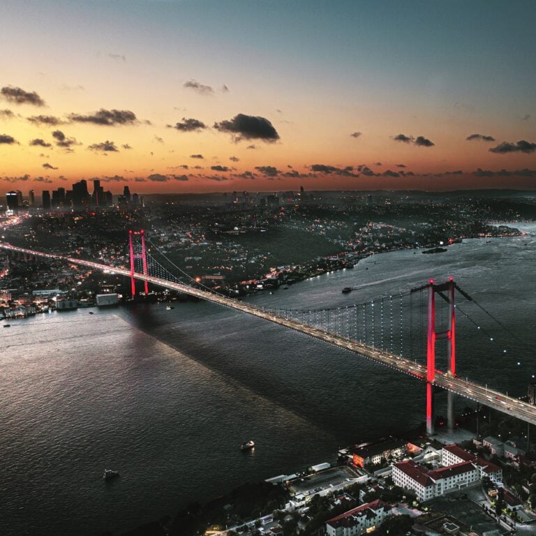 Carotid Artery Surgery in Turkey