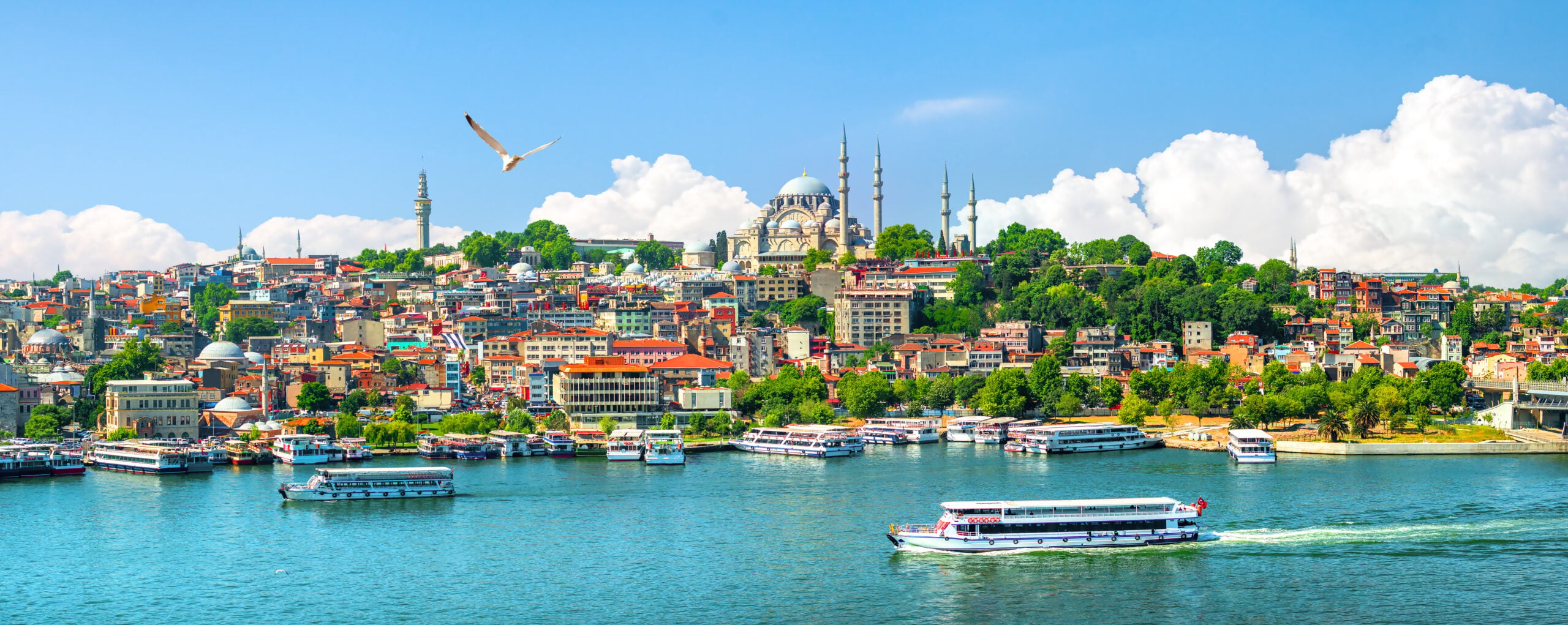 Carotid Artery Surgery in Turkey — Procedure Gallery Photo