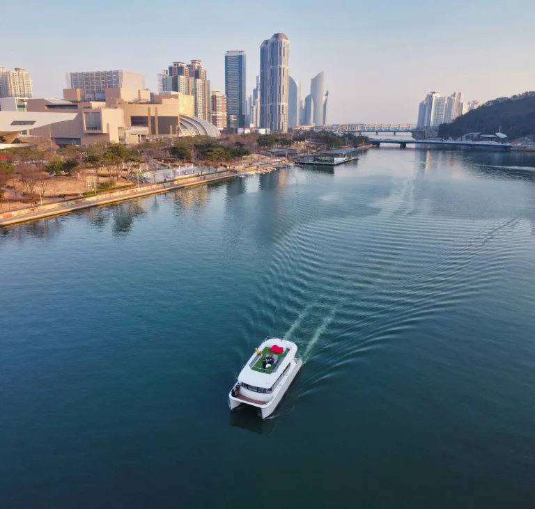 South Korea: Busan: Port Tour & Shore Excursion — Medical Tourism Package in South Korea
