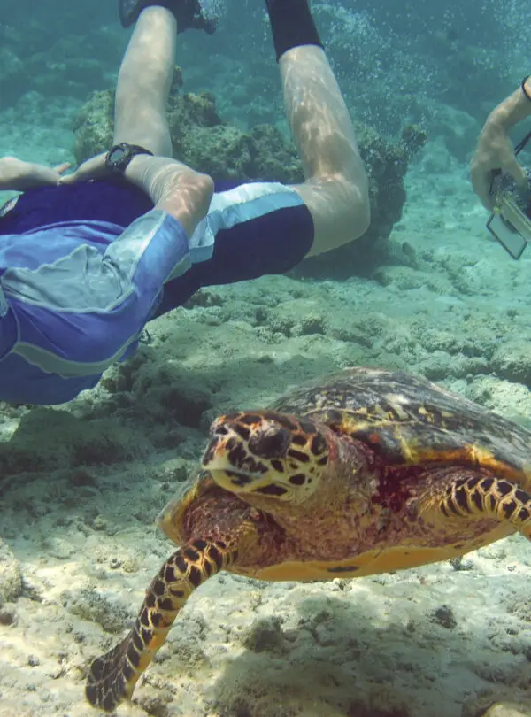 Snorkeling, Cancun, Mexico