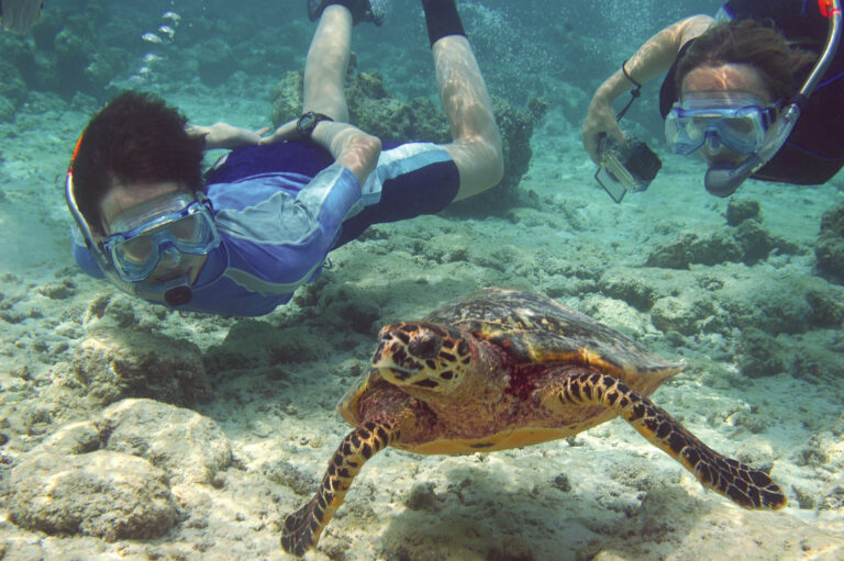 Snorkeling, Cancun, Mexico