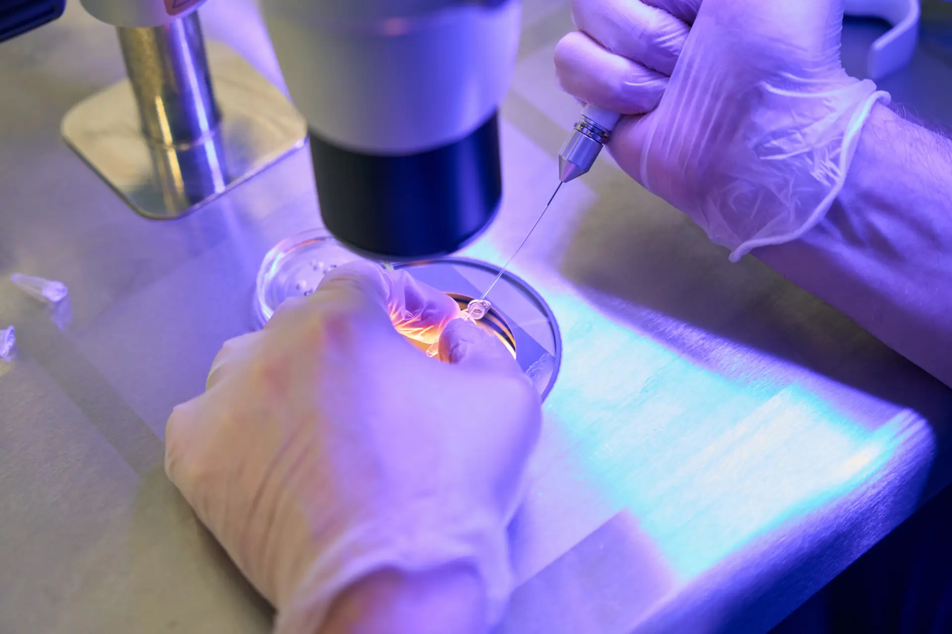 IVF With Egg Donation in Athens, Greece by Ovagenesis