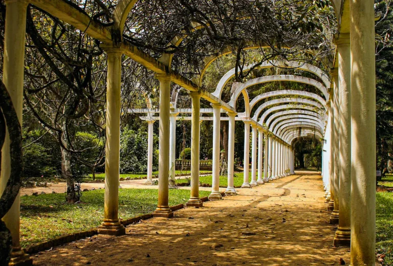 Brazil: Rio de Janeiro: Botanical Garden Private Tour – Guided Visit — Medical Tourism Package in Brazil
