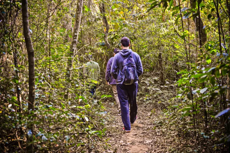 Brazil: São Paulo: Cantareira State Park and Waterfalls — Medical Tourism Package in Brazil
