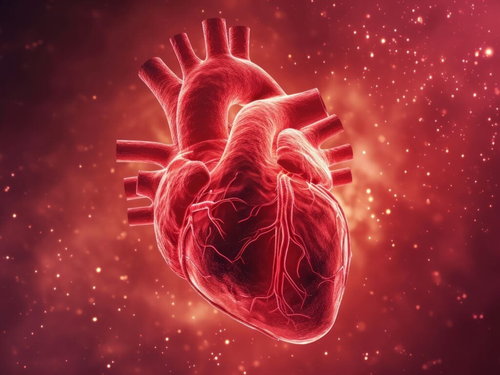 Coronary Artery Bypass Graft (CABG) in Istanbul, Turkey by Medical Park Hospitals — Cardiology Procedure in Turkey