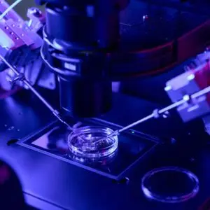 In Vitro Fertilization Clinics and Procedures Abroad