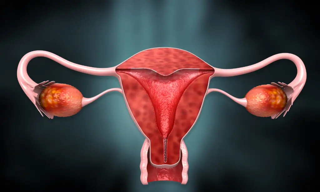 Gynecology