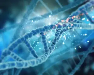 Stem Cell Therapy in South Korea Cost and Clinics