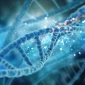 Stem Cell Therapy in South Korea Cost 85x85