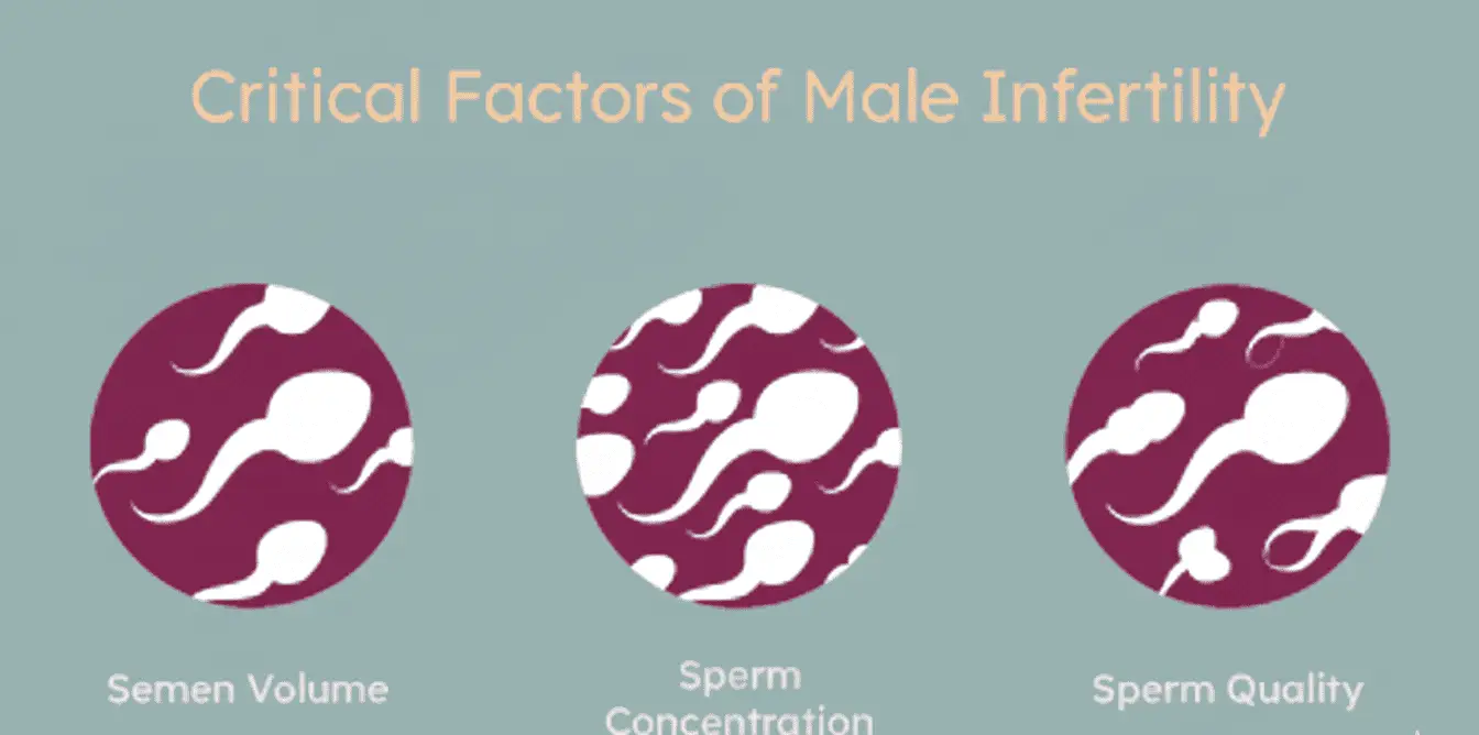 Male Factor Infertility in Istanbul, Turkey by Memorial Hospital