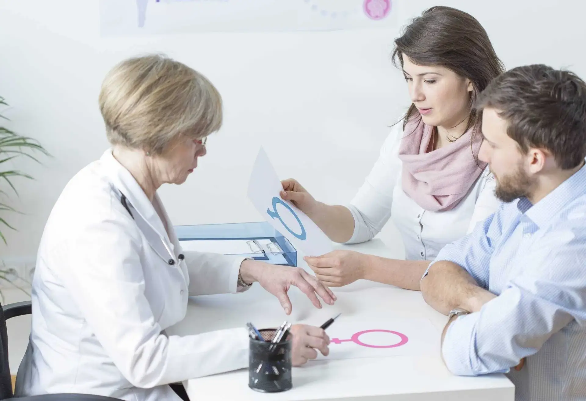 IVF in Istanbul, Turkey by Memorial Hospital