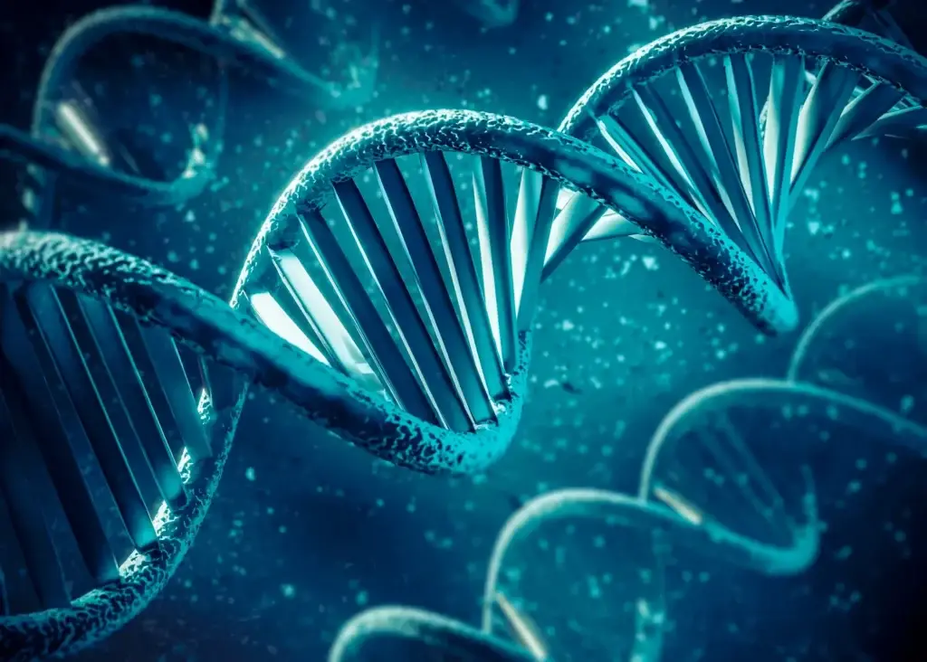 Stem Cell Therapy in Colombia Cost and Clinics