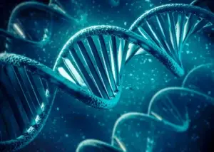 Stem Cell Therapy in Colombia Cost