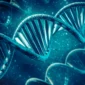 Stem Cell Therapy in Colombia Cost