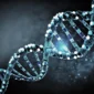 stem cell therapy in China cost