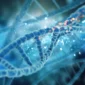 Stem Cell Therapy Cost in Panama