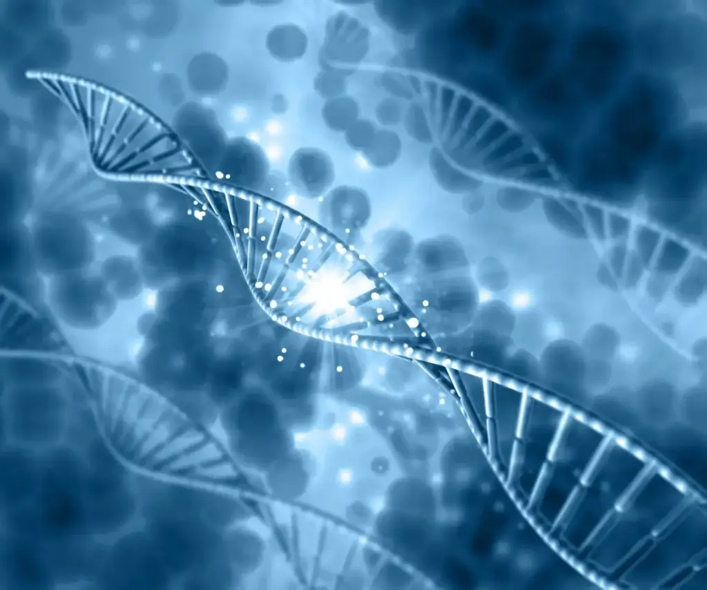Stem Cell Therapy in Dominican Republic Cost and Clinics