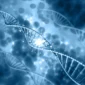 Stem Cell Therapy in Dominican Republic Cost