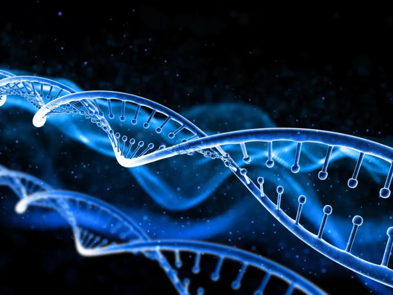 Stem Cell Therapy in India Cost and Clinics — Medical Tourism Guide
