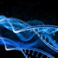 Stem Cell Therapy in India Cost