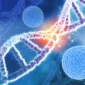 stem cell therapy in thailand cost
