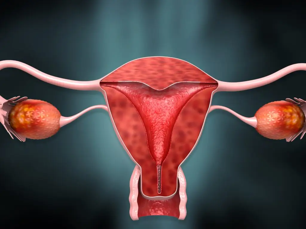 HSG (Hysterosalpingography) in Famagusta, Cyprus by Cyprus IVF Hospital — Fertility Procedure in Cyprus