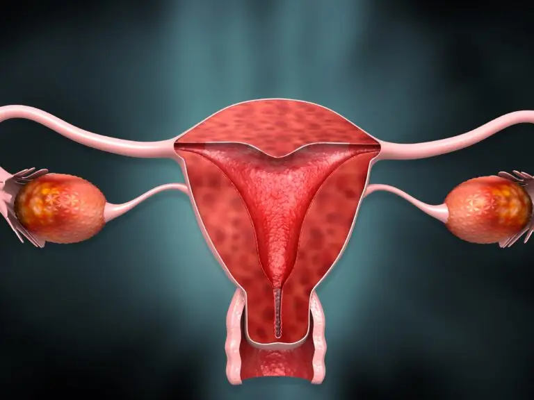 HSG (Hysterosalpingography) in Famagusta, Cyprus by Cyprus IVF Hospital — Fertility Procedure in Cyprus