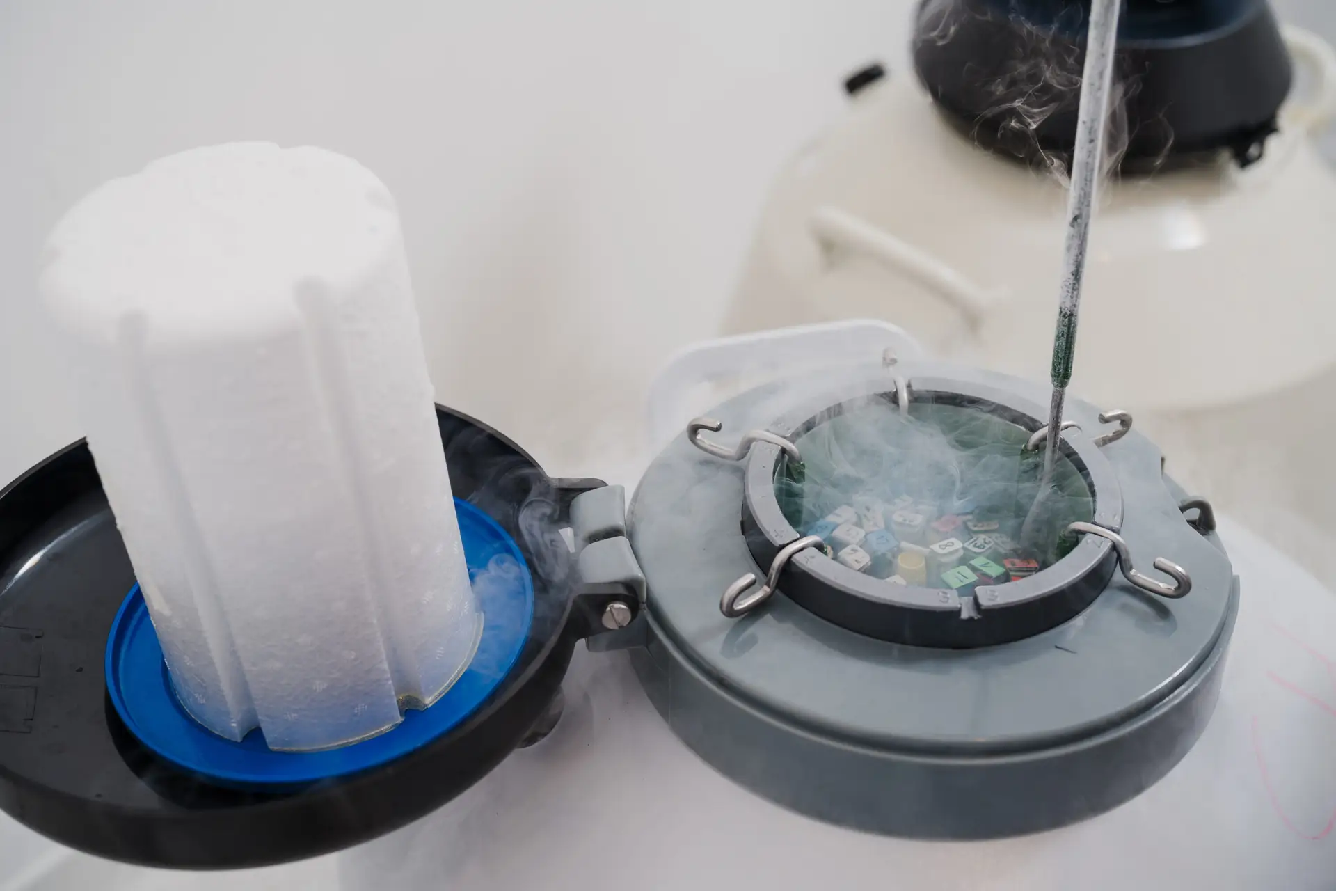 Egg Freezing in Famagusta, Cyprus by Cyprus IVF Hospital