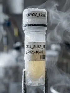 Egg Freezing in Istanbul, Turkey by Memorial Hospital