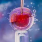 Alloblast Stem Cell Therapy in Turkey Cost