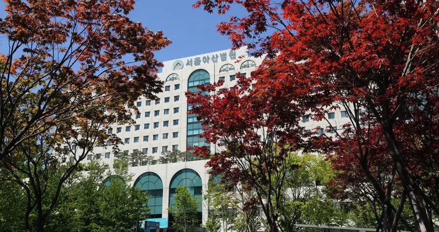 Robotic Thyroidectomy Surgery in Seoul, South Korea by Asan Medical Center — Procedure Gallery Photo