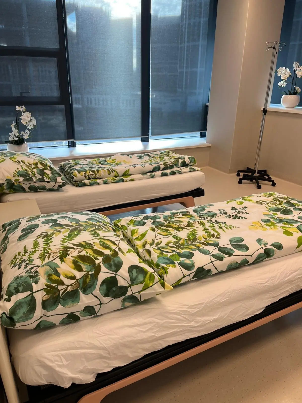 Autism Treatment with Stem Cells in Malacky, Slovakia by CellCenter Slovakia