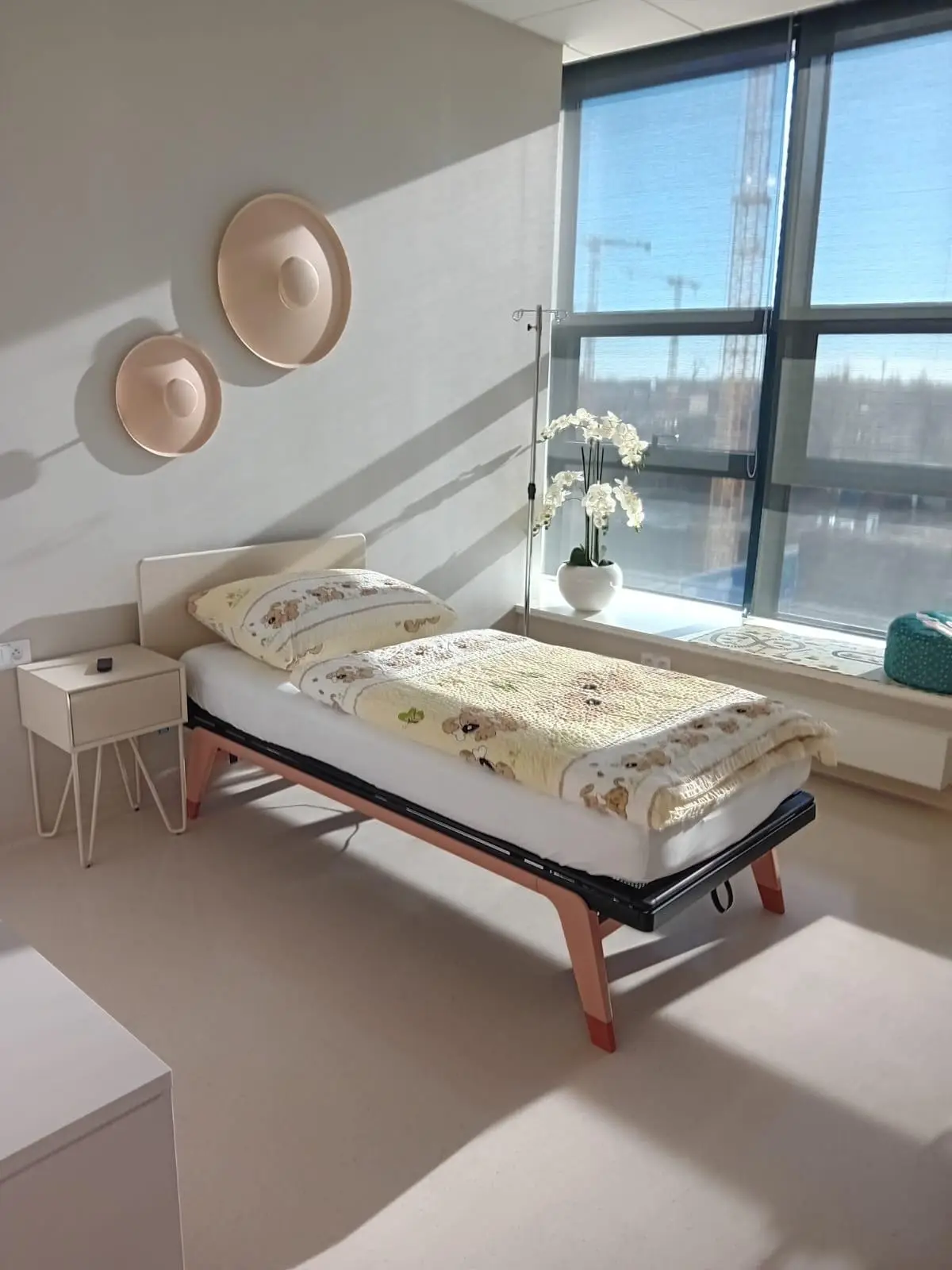 Autism Treatment with Stem Cells in Malacky, Slovakia by CellCenter Slovakia