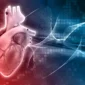 Coronary Bypass in Turkey Cost
